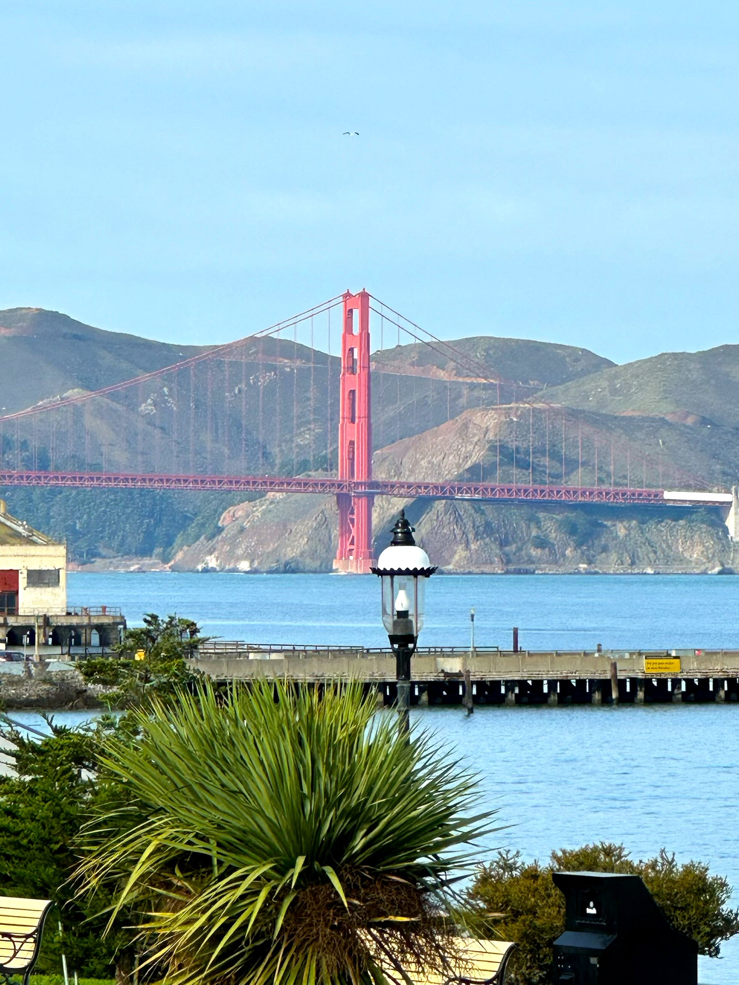 TRAVEL GUIDE: Sunny San Francisco