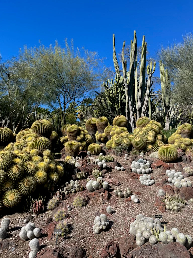 TRAVEL GUIDE: LA-LA-Los Angeles