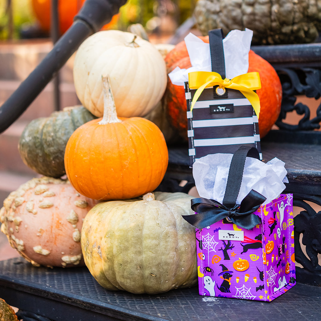 SCOUT HQ: Surviving the Spook