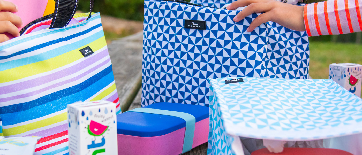 Back to School Collection