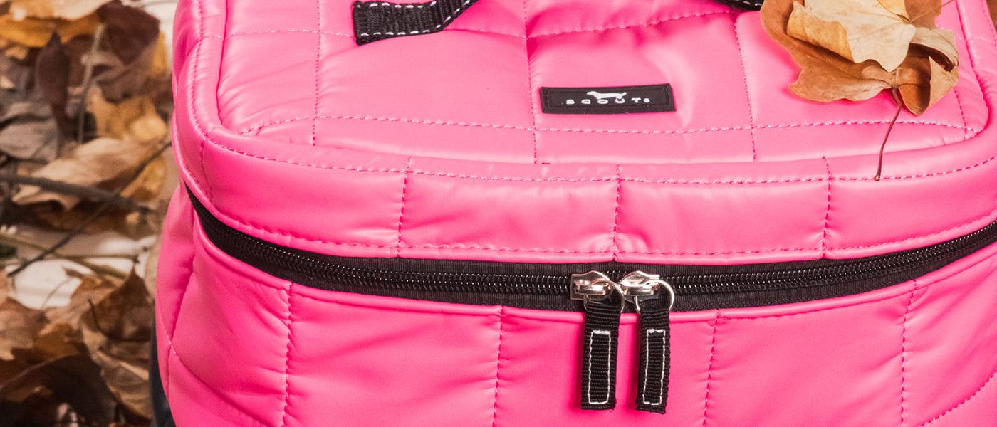 Travel Accessories