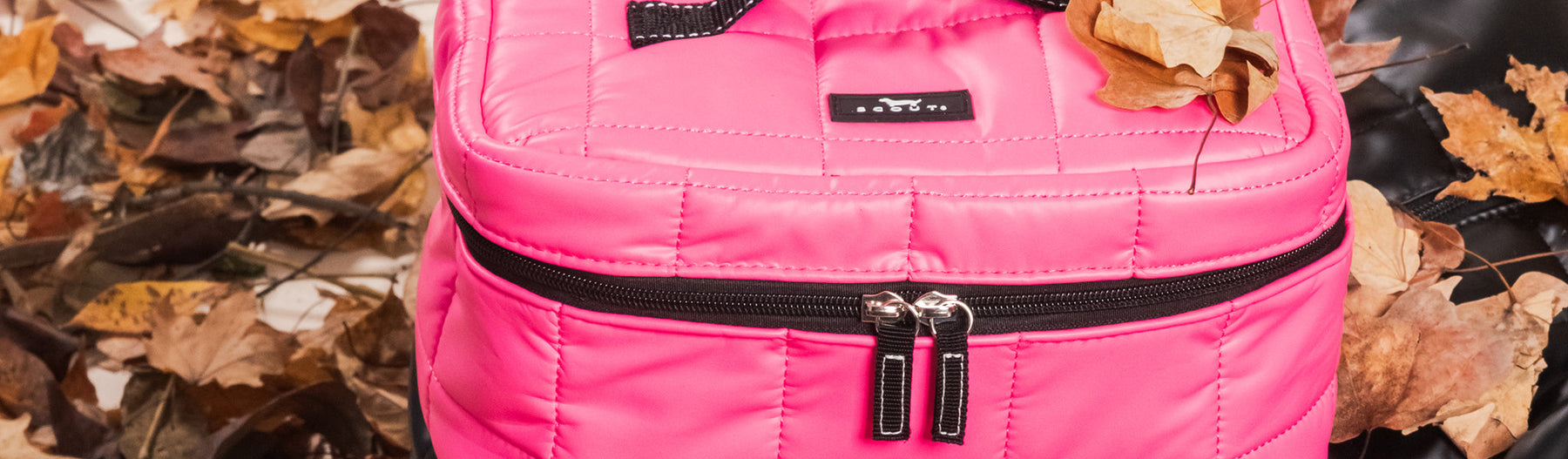 Travel Accessories