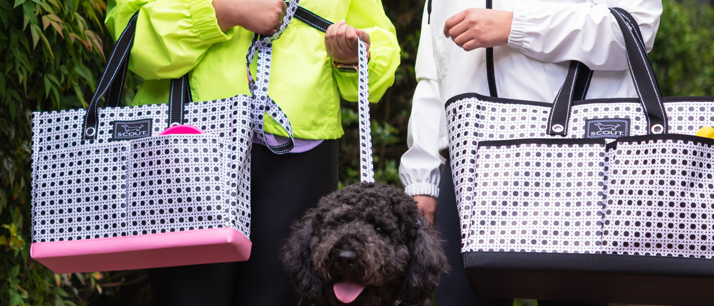 Best-Selling Tote Bags