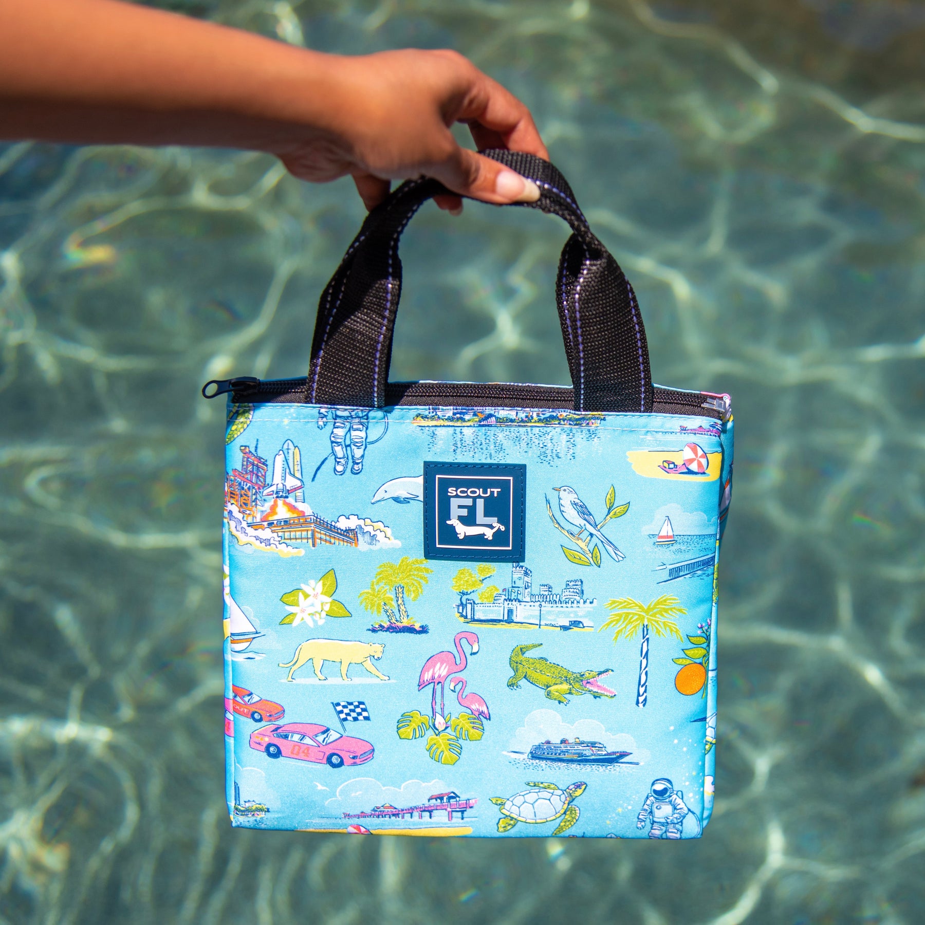Lunch Tote