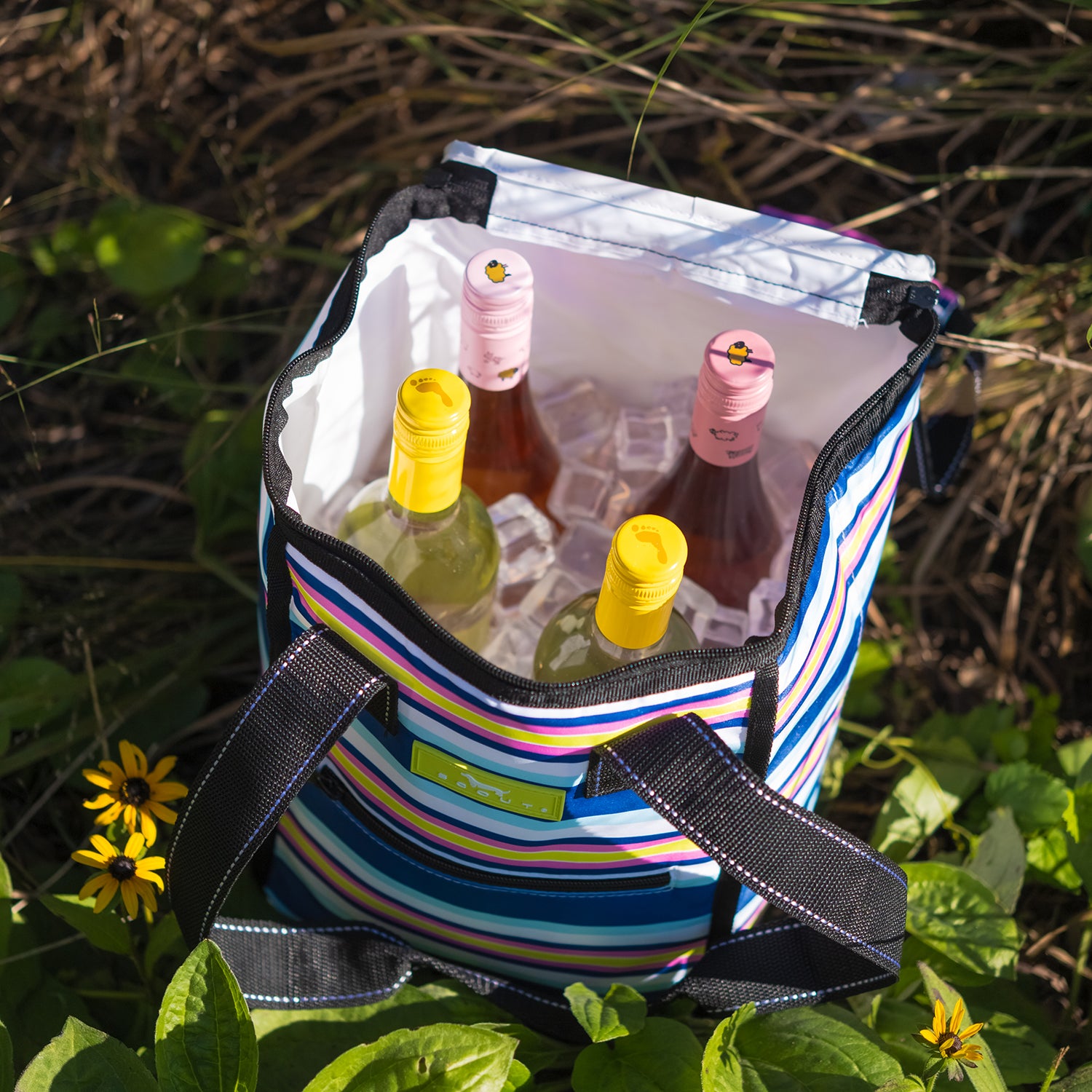 Pleasure Chest Cooler