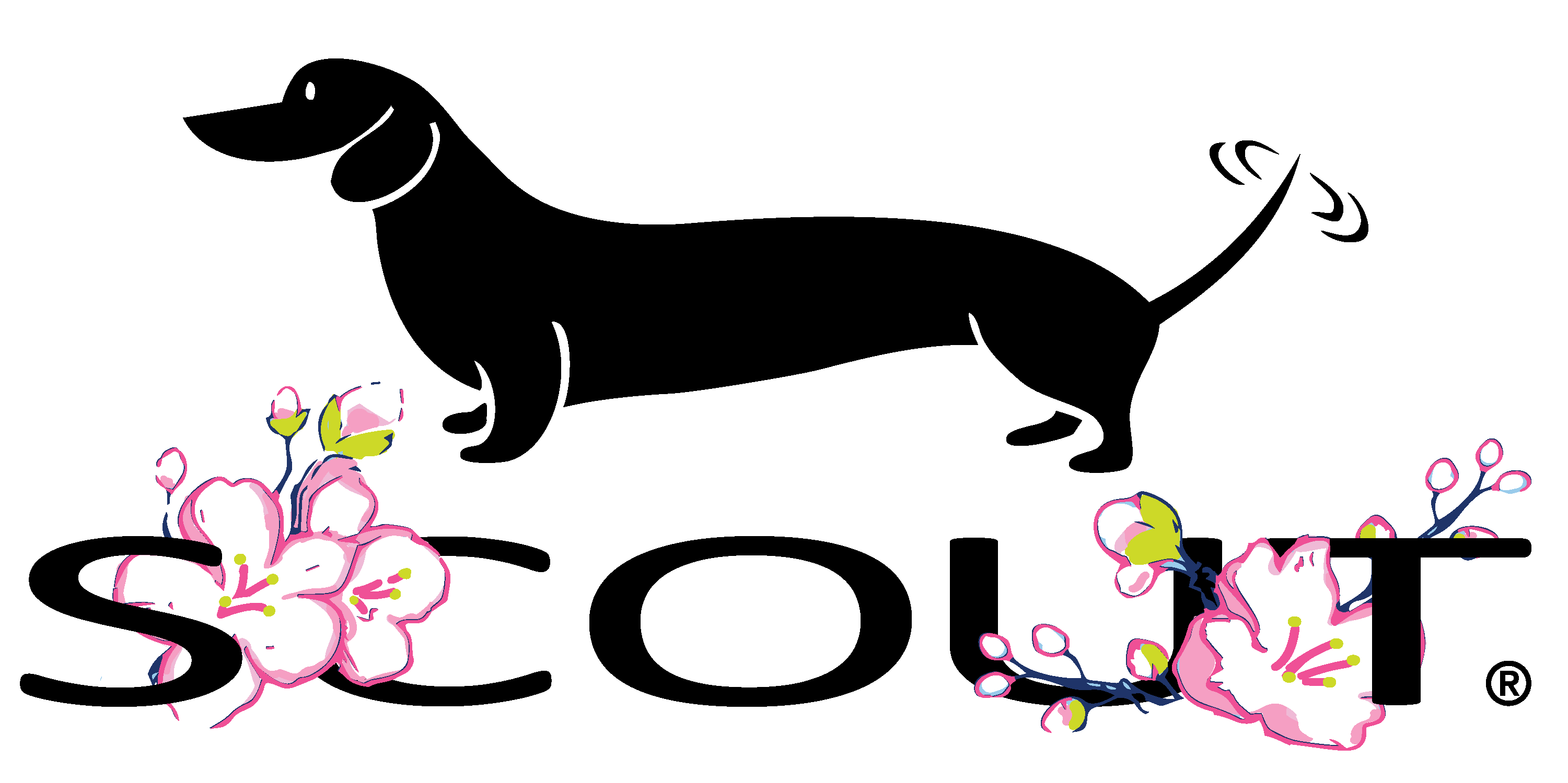 SCOUT Bags Everything You Need All in One Bag