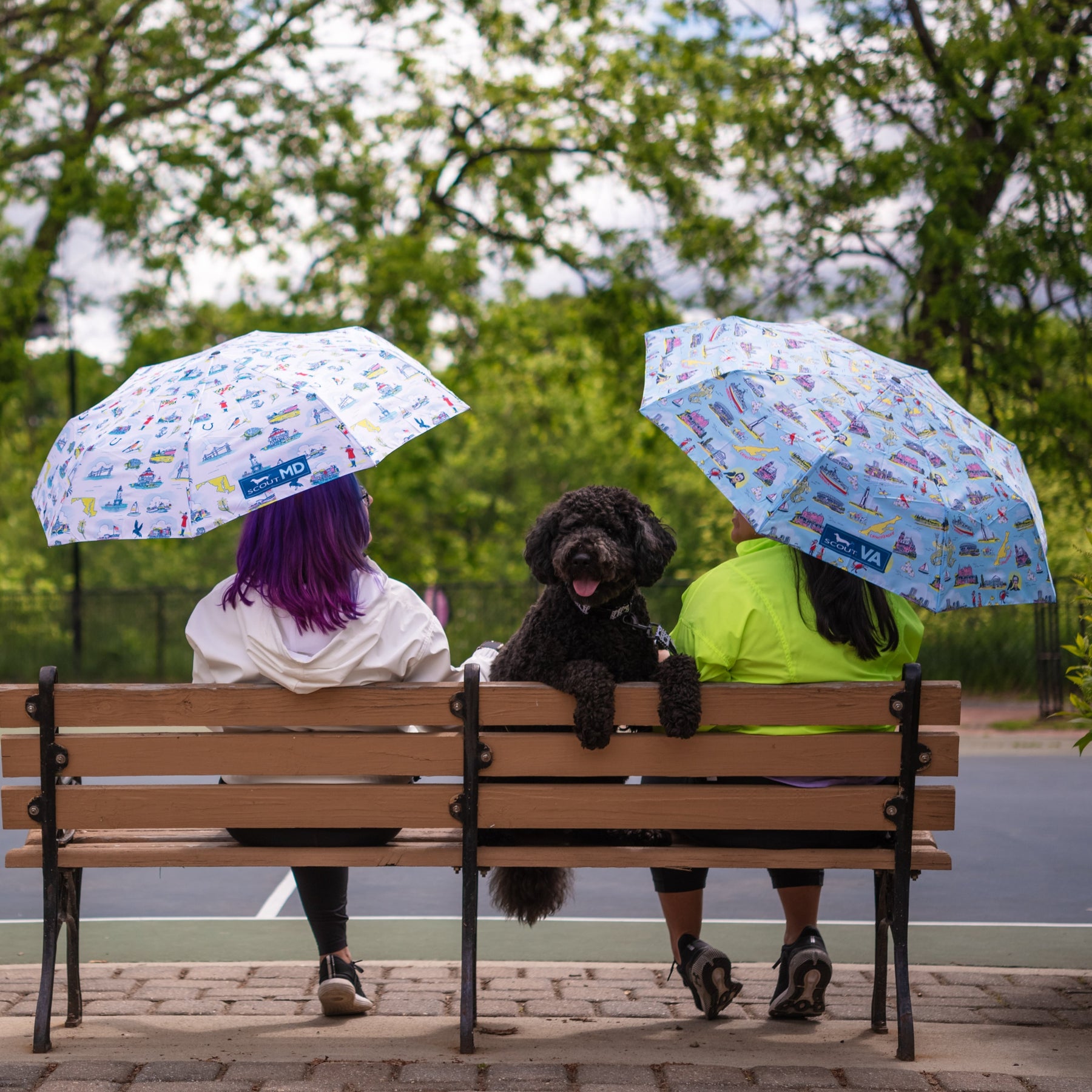 Umbrella