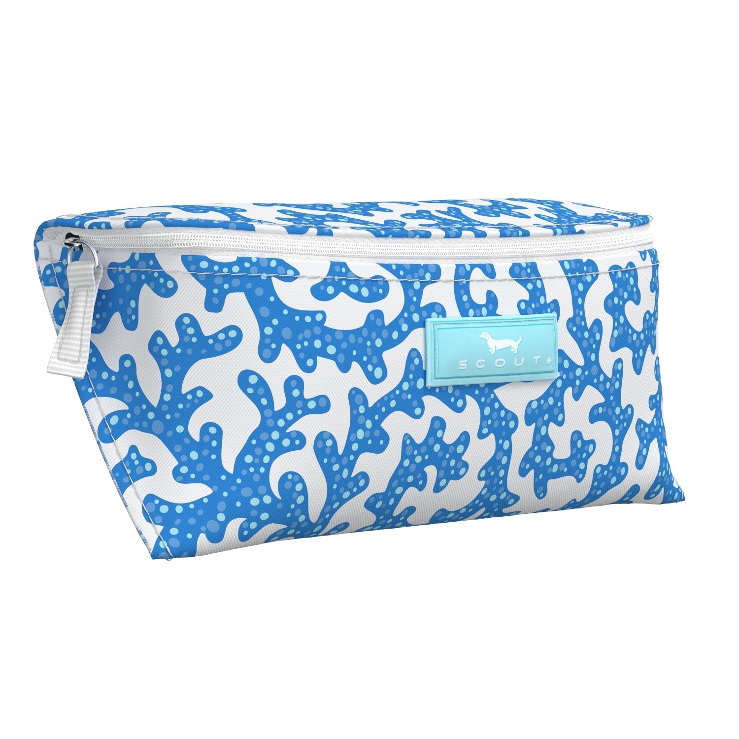 Eyeglasses Case
