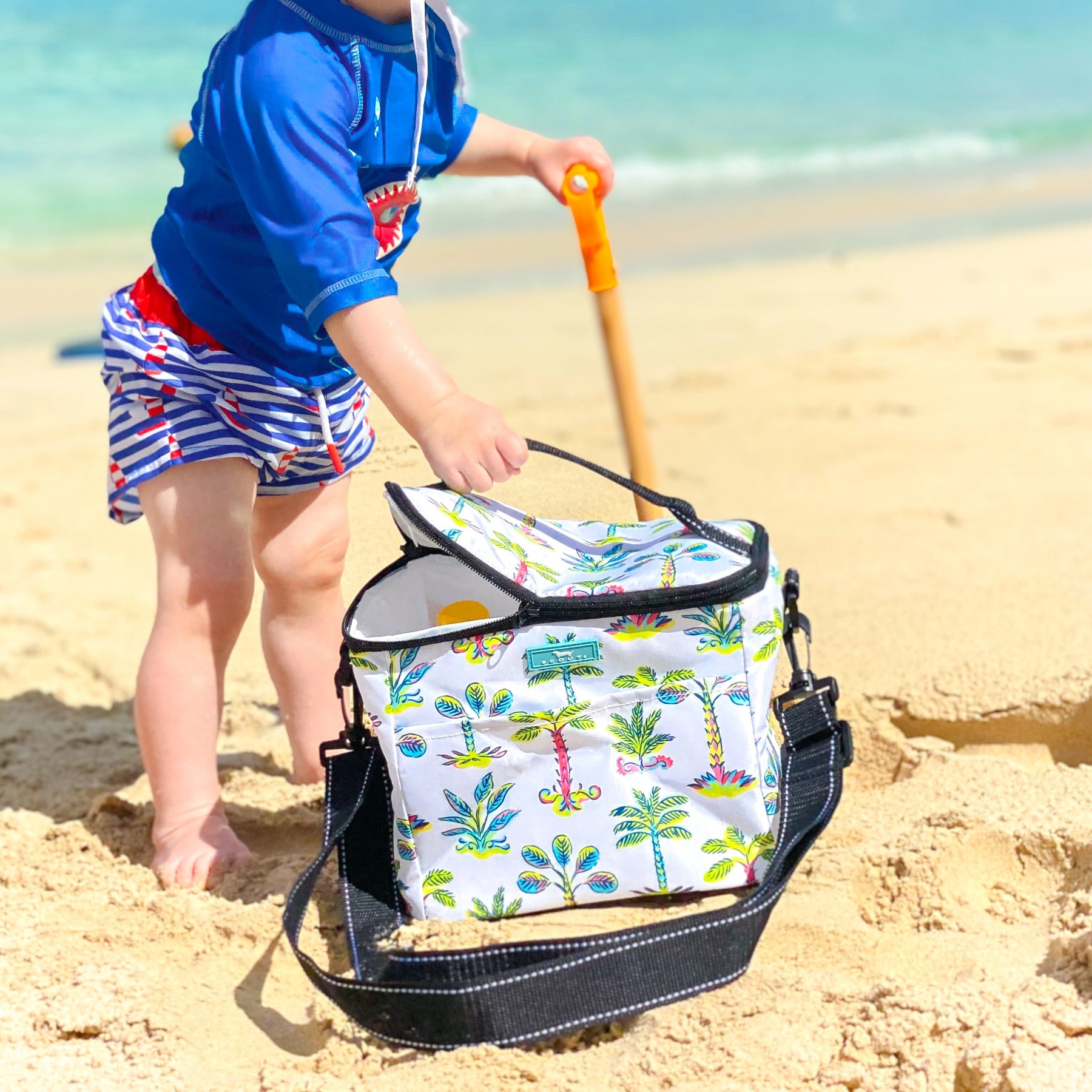 Crossbody Lunch Box