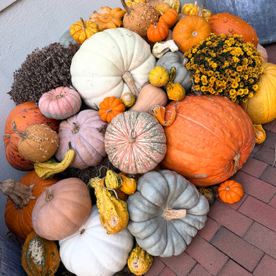 SCOUT HQ: Georgetown Halloween Porch Decor