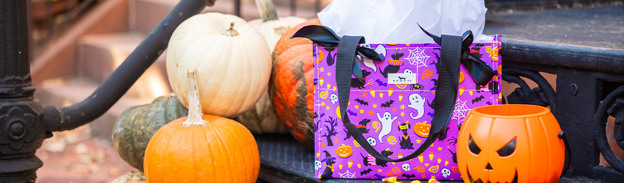Halloween Favorites