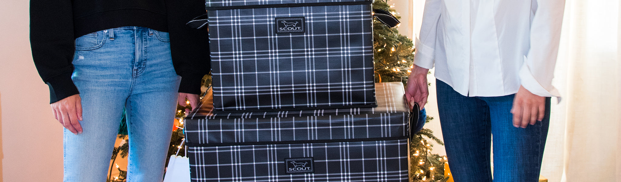 Tartan Scorsese