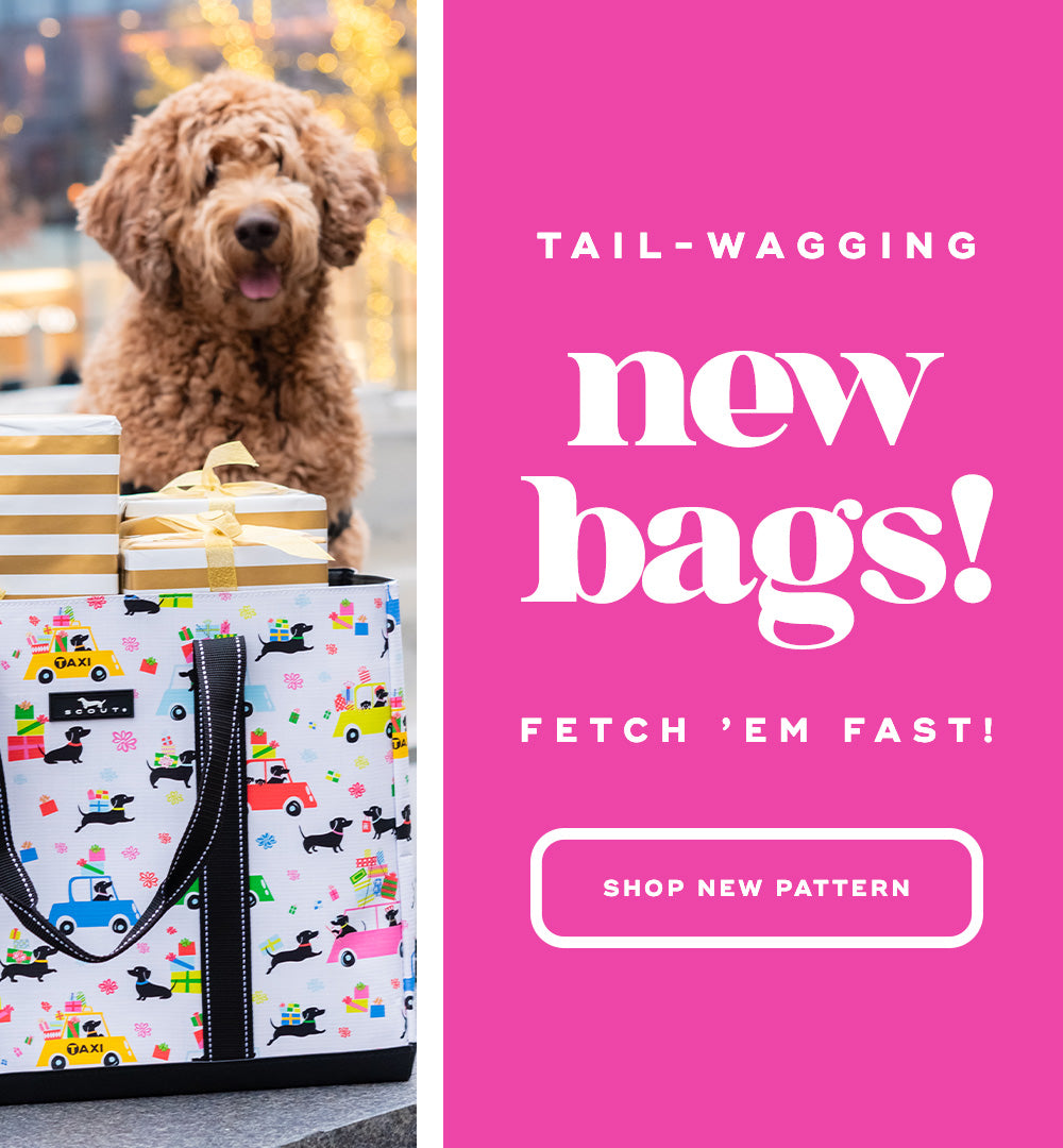 SCOUT Bags | Everything You Need, All in One Bag