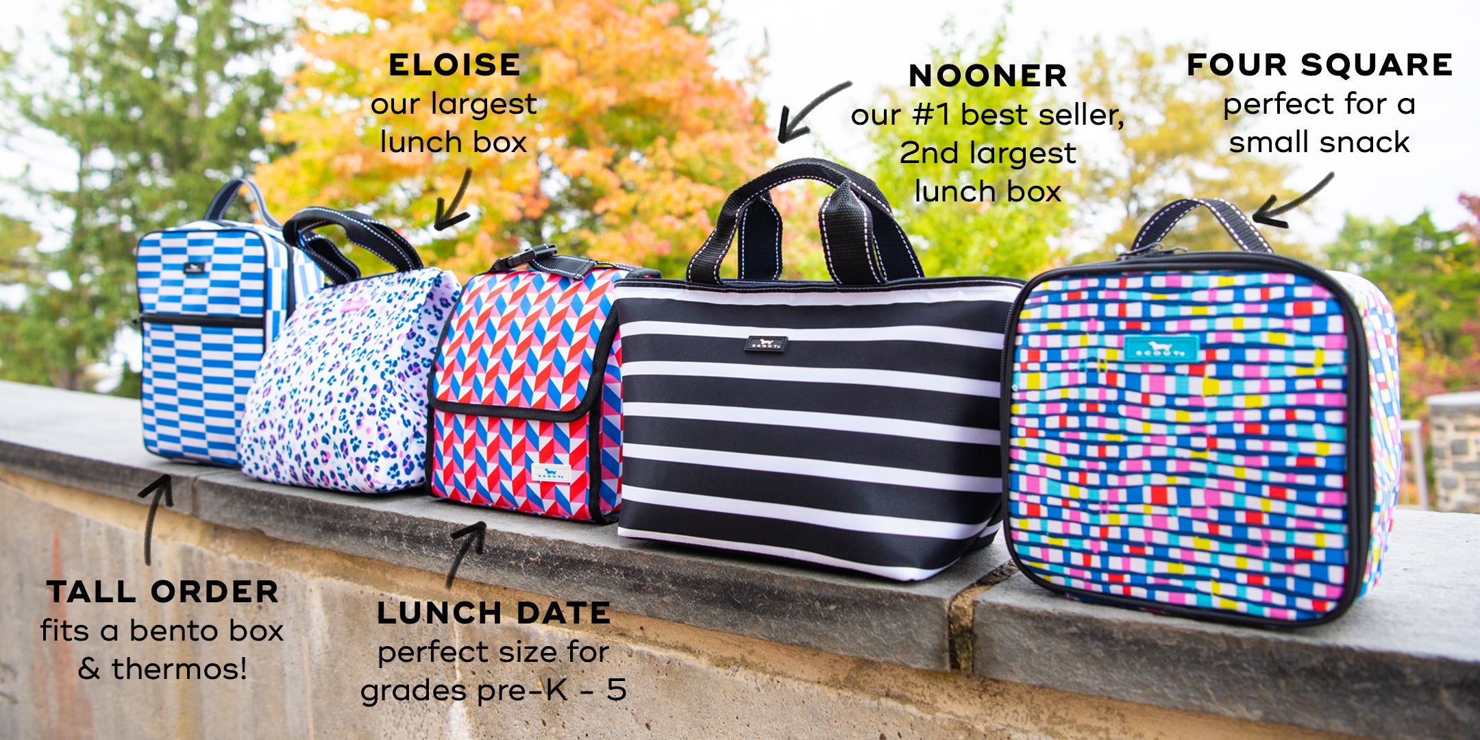 5 Stylish Lunch Bags