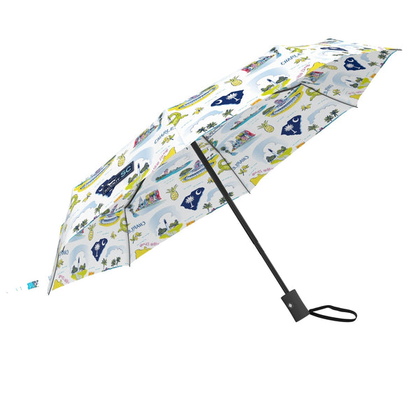 High and Dry Umbrella