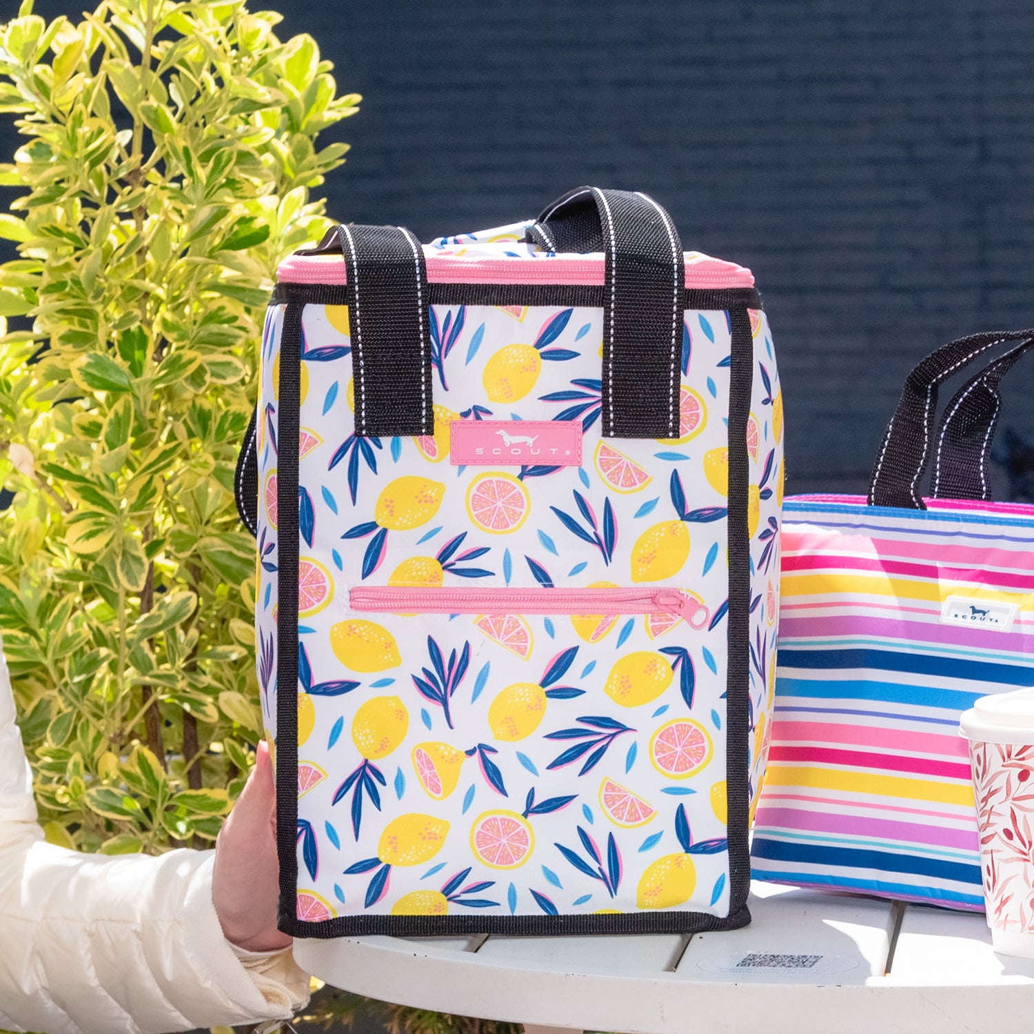 Pleasure Chest Cooler