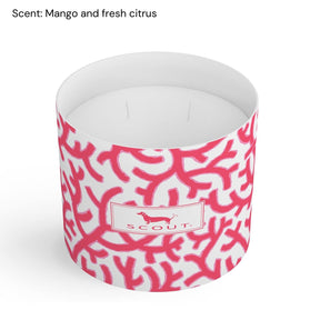 SCOUT + Annapolis Candle 14.5oz Candle